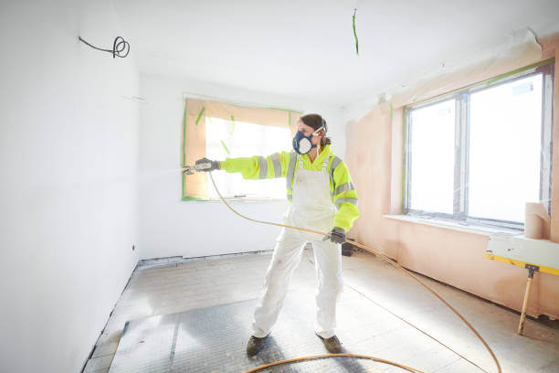 Best Basement Mold Removal  in Wacousta, MI