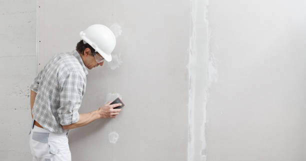 Best Residential Mold Inspection & Testing  in Wacousta, MI