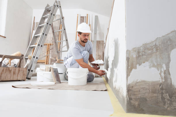 Best Water Damage & Mold Remediation  in Wacousta, MI