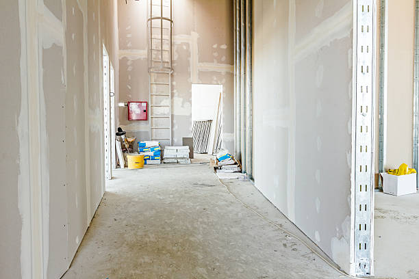 Best Real Estate Mold Inspection  in Wacousta, MI