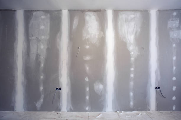 Professional Mold Removal in Wacousta, MI